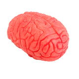 Maxbell Scary Haunted House HUMAN BRAIN Organ Body Part Halloween Horror Prop -Red