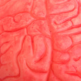 Maxbell Scary Haunted House HUMAN BRAIN Organ Body Part Halloween Horror Prop -Red