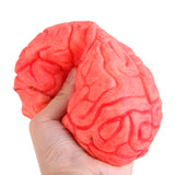 Maxbell Scary Haunted House HUMAN BRAIN Organ Body Part Halloween Horror Prop -Red