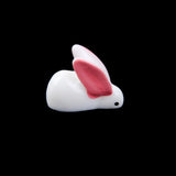 Maxbell 4x10x Miniature Dollhouse Bonsai Craft Garden Resin Landscape DIY Rabbit Decor