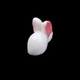 Maxbell 4x10x Miniature Dollhouse Bonsai Craft Garden Resin Landscape DIY Rabbit Decor