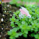 Maxbell 4x10x Miniature Dollhouse Bonsai Craft Garden Resin Landscape DIY Rabbit Decor