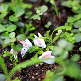 Maxbell 4x10x Miniature Dollhouse Bonsai Craft Garden Resin Landscape DIY Rabbit Decor