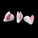 Maxbell 4x10x Miniature Dollhouse Bonsai Craft Garden Resin Landscape DIY Rabbit Decor