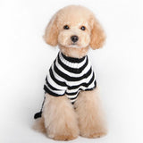 Maxbell Maxbell White Skeleton Bone Pattern Dog Turtleneck Sweater Dog Clothes Size XS