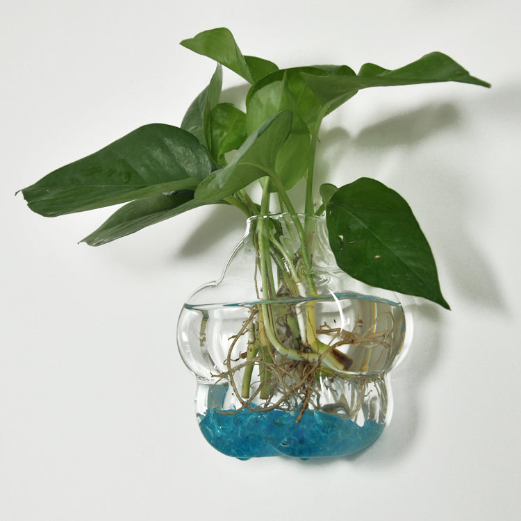 Maxbell Maxbell Plum Blossom Shaped Clear Glass Wall Hanging Vase for Plant Flower Decor