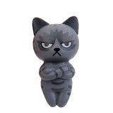 Generic 6PCS Miniature Resin Grumpy Angry Cat for Dollhouse Landscape Garden Ornament