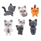 Generic 6PCS Miniature Resin Grumpy Angry Cat for Dollhouse Landscape Garden Ornament