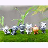 Generic 6PCS Miniature Resin Grumpy Angry Cat for Dollhouse Landscape Garden Ornament