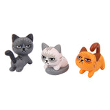 Generic 6PCS Miniature Resin Grumpy Angry Cat for Dollhouse Landscape Garden Ornament