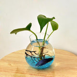 Maxbell 9xClear Glass Flower Planter Vase Terrarium Container Fish Tank Table Decor
