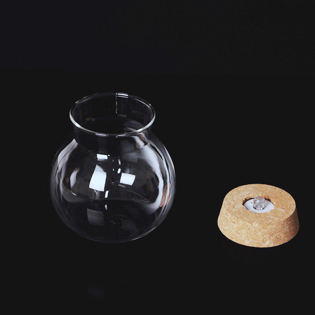 Maxbell Maxbell Glass Bottle Jar Hydroponic Terrarium Container Glow LED Lamp Cork Stopper
