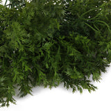 Maxbell 12xArtificial Plastic Plant 6 Branches Parsley Grass Home Wedding Decor