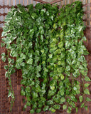 Maxbell 2Pcs Artificial Wall Hanging Ivy Vine Silk Foliage Plant Decor Grape Leaf