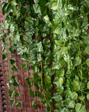 Maxbell 2Pcs Artificial Wall Hanging Ivy Vine Silk Foliage Plant Decor Grape Leaf