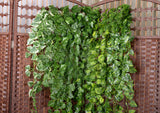 Maxbell 2Pcs Artificial Wall Hanging Ivy Vine Silk Foliage Plant Decor Grape Leaf