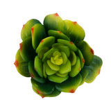 Maxbell Artificial Succulent Snow Lotus Floral Foliage Fake Plant Home Party Decor