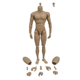 Maxbell 1:6 Scale Action Figure Male Muscle Body Toys Version 2.0 for TTM19