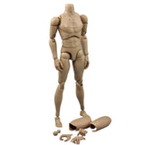 Maxbell Narrow Shoulder 1/6 Scale 12inch Male Nude Action Figure Body For TTM19 Toy
