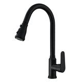 Full Brass Pull Out Kitchen Sink Faucet with Sprayer Dual Mode Diffuser Tap paint black