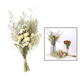 Dried Flowers Bouquet Dried Plants Flower Ornament Wedding Decor White