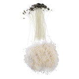 Maxbell 500g 100% Pure Soy Wax Flakes + 15cm Pre Waxed Wicks for Candle Making - Aladdin Shoppers