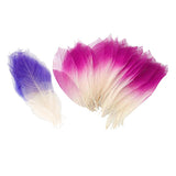 Maxbell 100 Pcs Natural Magnolia Skeleton Leaves DIY Scrapbooks Photo Album Purple and Pink and White - Aladdin Shoppers