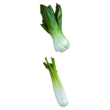 Maxbell 2x Artificial Shanghai Cabbage Imitation Food Store Cabinet Display Decor