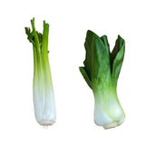 Maxbell 2x Artificial Shanghai Cabbage Imitation Food Store Cabinet Display Decor
