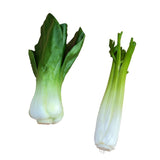 Maxbell 2x Artificial Shanghai Cabbage Imitation Food Store Cabinet Display Decor