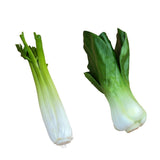 Maxbell 2x Artificial Shanghai Cabbage Imitation Food Store Cabinet Display Decor