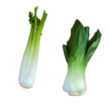 Maxbell 2x Artificial Shanghai Cabbage Imitation Food Store Cabinet Display Decor