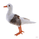 Maxbell 2Pc Simulated Seagull Artificial Bird Vivid Garden Home Decor Props Ornament