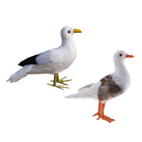 Maxbell 2Pcs Artificial Bird Feather Realistic Home Garden Decor Ornament Seagull