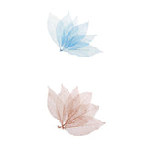 Maxbell 100Pcs Natural Magnolia Skeleton Leaf  Card Scrapbook Leaves Blue and Brown