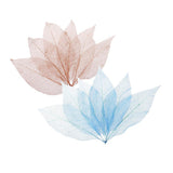Maxbell 100Pcs Natural Magnolia Skeleton Leaf  Card Scrapbook Leaves Blue and Brown