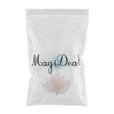 Maxbell 100Pcs Natural Magnolia Skeleton Leaf  Card Scrapbook Leaves Blue and Brown