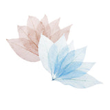 Maxbell 100Pcs Natural Magnolia Skeleton Leaf  Card Scrapbook Leaves Blue and Brown