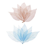 Maxbell 100Pcs Natural Magnolia Skeleton Leaf  Card Scrapbook Leaves Blue and Brown