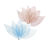 Maxbell 100Pcs Natural Magnolia Skeleton Leaf  Card Scrapbook Leaves Blue and Brown