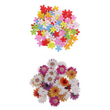 Maxbell 150Pcs Daisy Flower Wooden 2-holes Buttons for Crafts Scrapbooking 15mm 25mm