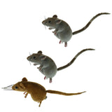 Maxbell 3x Realistic Mouse Animal Ornament Fridge Magnet Mice Toys Pot Hanger Decor