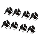 Maxbell 24 pieces Black Feathered Small Crows Birds Ravens Props Halloween Decor
