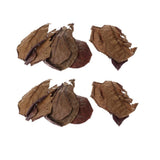 Maxbell PACK 20 Indian Almond Leaves Beneficial Leaf for Shrimps Betta Tropical Fish