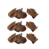 Maxbell PACK 30 Indian Almond Leaves Beneficial Leaf for Shrimps Betta Tropical Fish