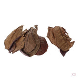 Maxbell PACK 30 Indian Almond Leaves Beneficial Leaf for Shrimps Betta Tropical Fish