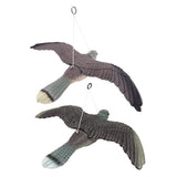 Maxbell 2Pcs Realistic Flying Bird Hawk Decoy Pigeon Crow Scarecrow Hunting Scarer