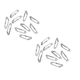 Maxbell 20Pcs Stainless Steel Long Line Longline Clips for Fishing Snapper or Shark