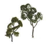 Maxbell Maple Trees Model Ash Trees Scenery Landscape Model Architecture Building