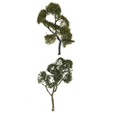 Maxbell Maple Trees Model Ash Trees Scenery Landscape Model Architecture Building
